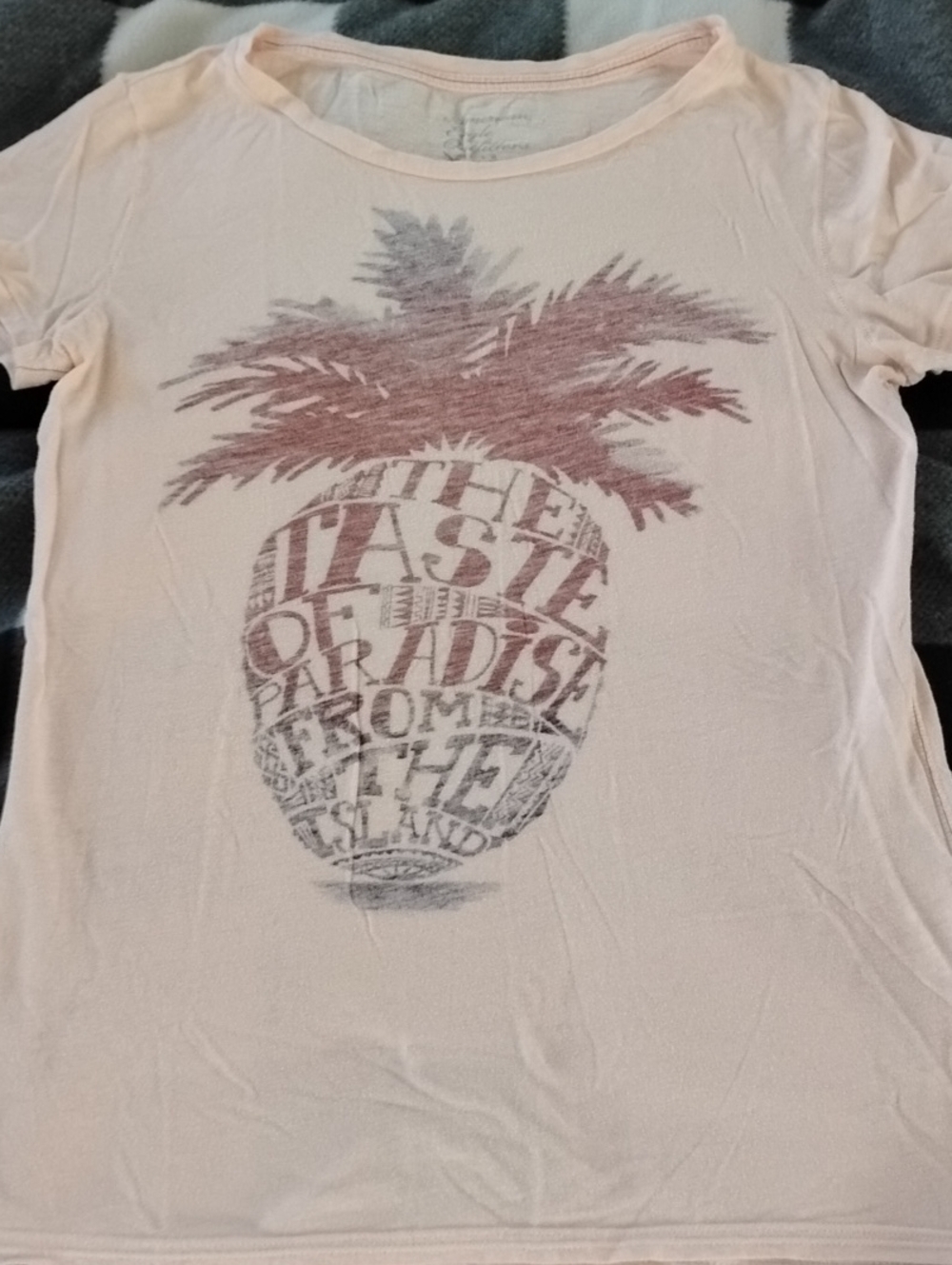 American Eagle Vintage Cotton Tee